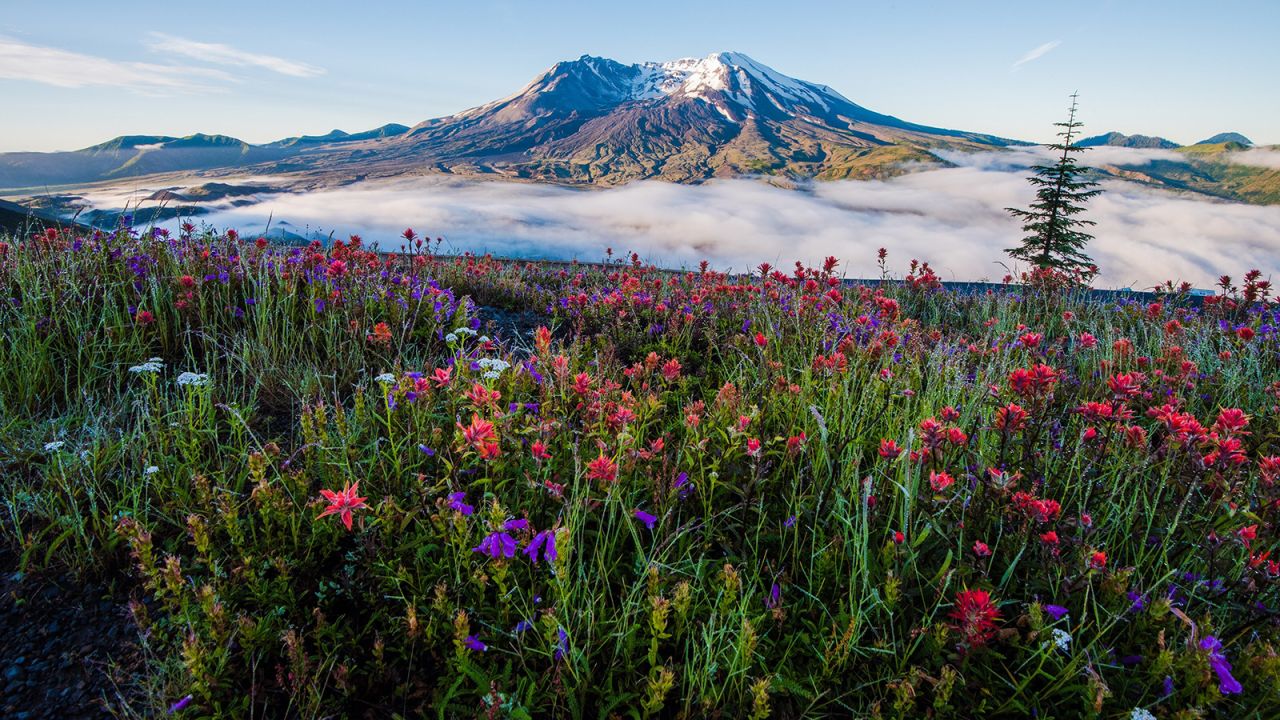 <strong>Mount St. Helens National Volcanic Monument, Washington: </strong>A cataclysmic eruption in 1980 put the spotlight on this spectacular volcano that had been dormant for more than 120 years.