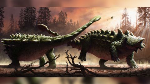 02 ankylosaur zuul