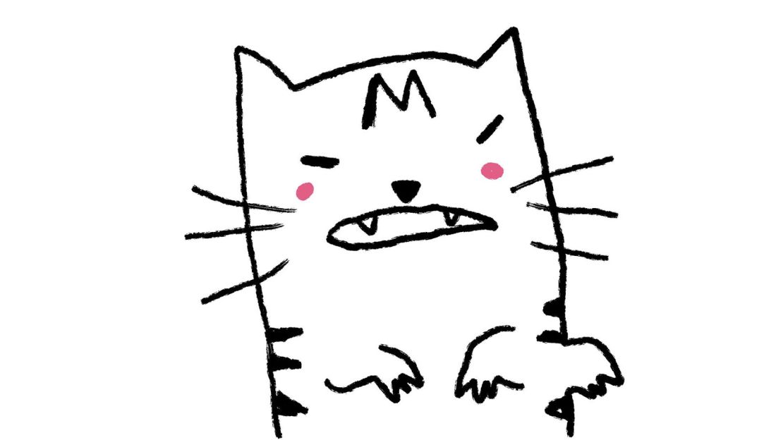 Li's Twitter profile image is a doodle of his tabby cat.