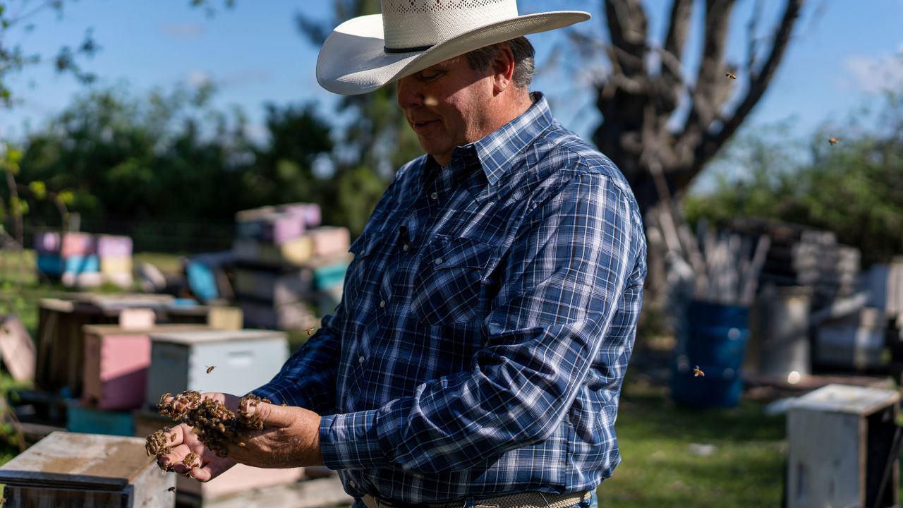 Keith Councell handles honey bees on his farm near Arcadia.