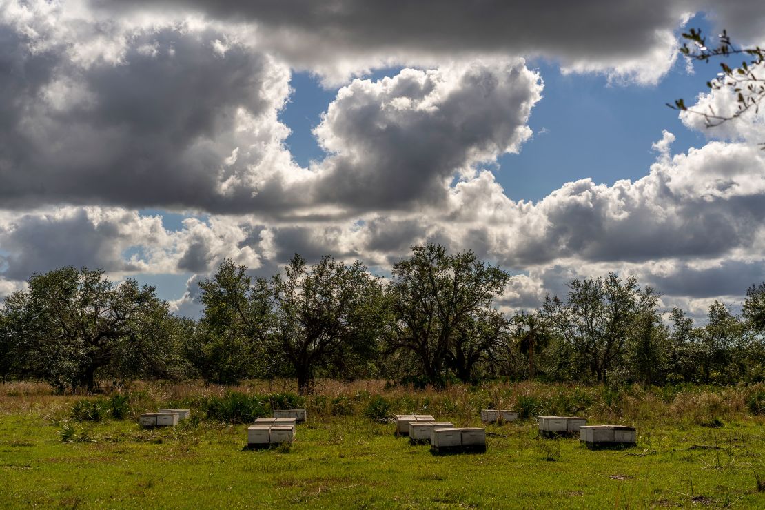 Ole Florida Small Fly Box