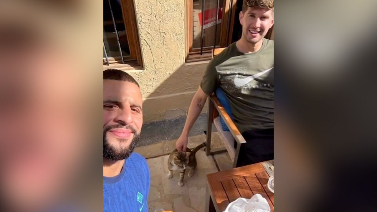 Dave the cat from Qatar is coming come with footballers Kyle Walker and John Stones.