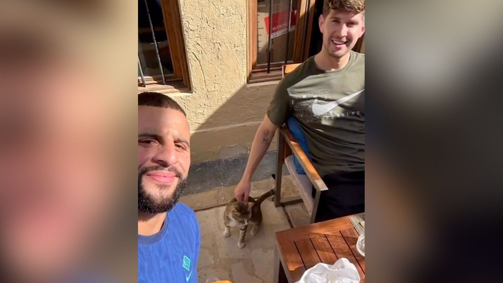 Dave the cat from Qatar is coming come with footballers Kyle Walker and John Stones. Dave the cat from Qatar is coming come with footballers Kyle Walker and John Stones.