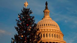 The US Capitol Christmas Tree stands on the West Lawn ahead of its lighting ceremony in Washington, DC.