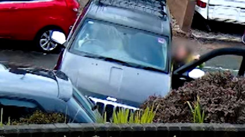 Dog Crashes Car 2
