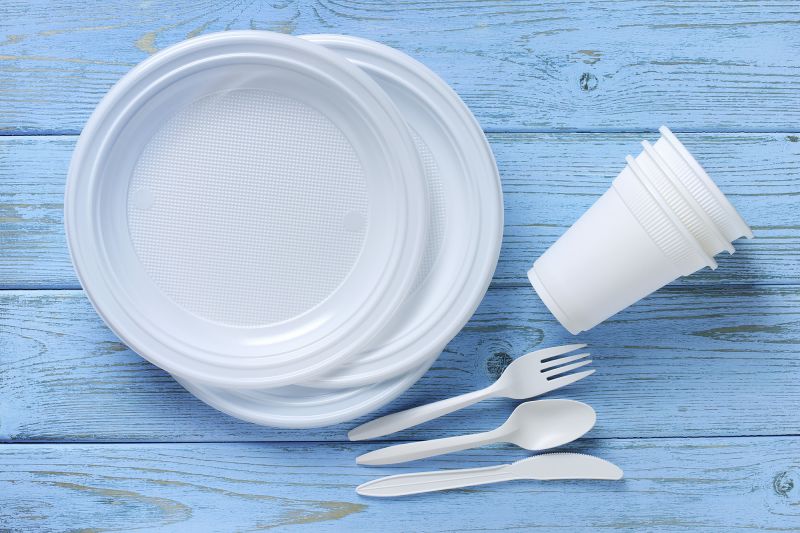 Plastic plates 2025 and cutlery