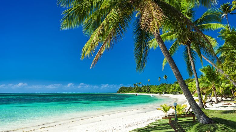 Palm trees on a white sandy beach at Plantation Island, Fiji, South Pacific

AdobeStock_128352996