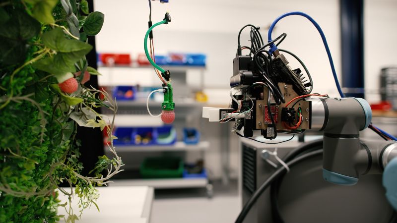 This mechanical engineer is building robots to harvest raspberries