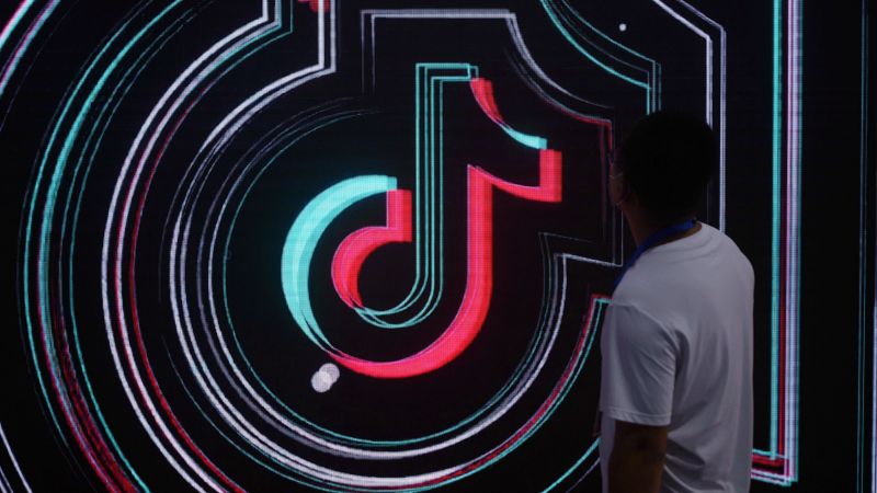 TikTok might be too big to ban, no matter what lawmakers say | CNN Business