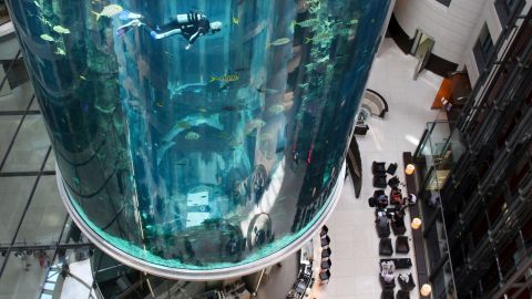 Divers clean the AquaDom in central Berlin on May 10, 2011.  