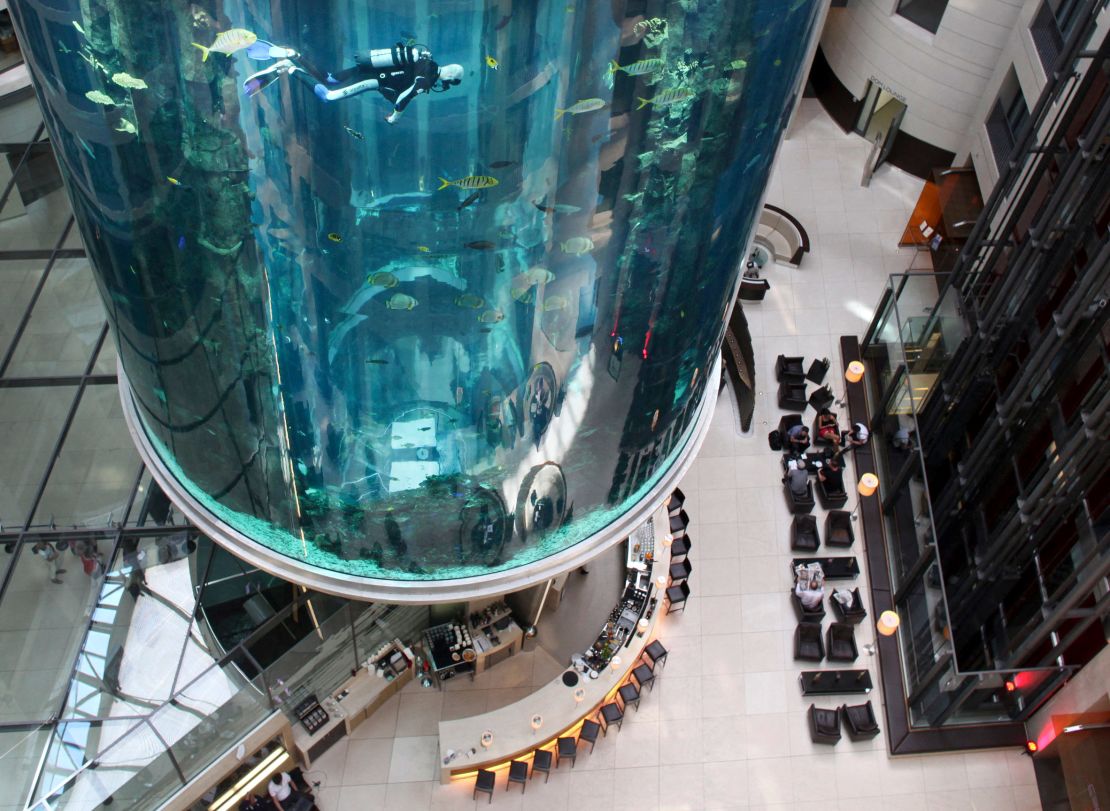 Divers clean the AquaDom in central Berlin on May 10, 2011.