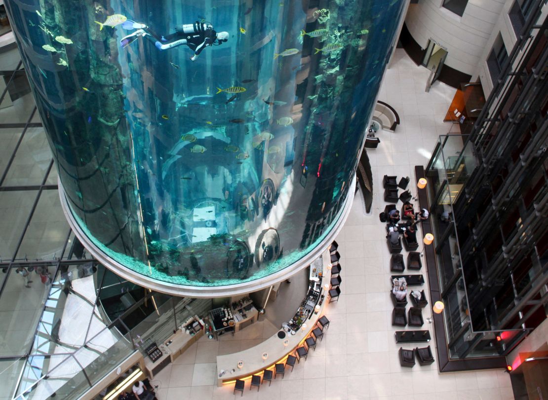 Divers clean the AquaDom in central Berlin on May 10, 2011.  