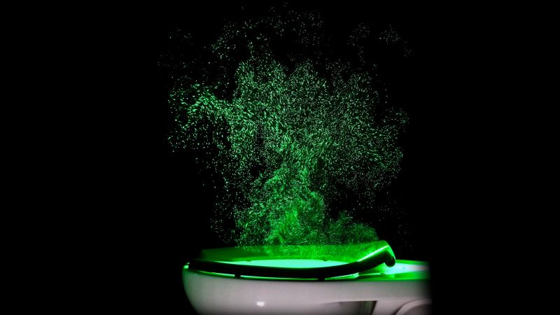 A Glow in the Dark Toilet Seat!?. It's the small things in life