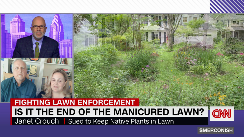Is this the end of the manicured lawn? | CNN