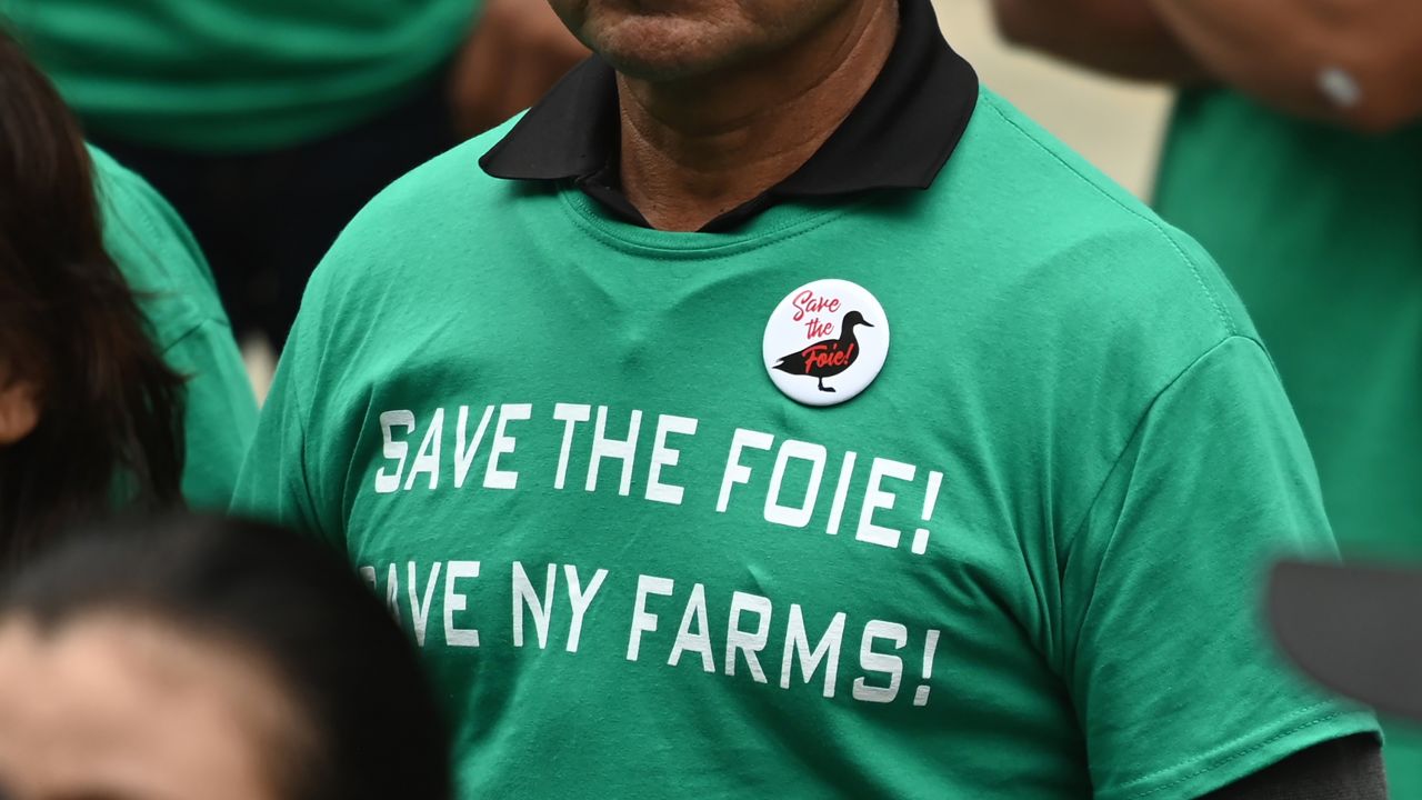 Farmers arrive a New York City Council Health Committee hearing to protest a bill to ban the sale of foie gras on June 18, 2019 at New York City Hall.