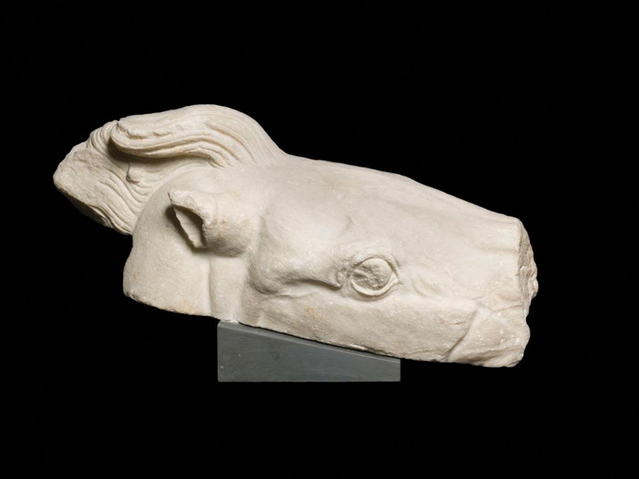 One of pieces depicts the head of the horse that was pulling Athena's chariot.