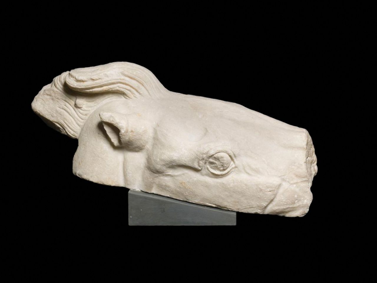 One of pieces depicts the head of the horse that was pulling Athena's chariot.