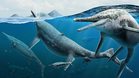 Reconstrução artística de ictiossauros adultos e recém-nascidos no oceano.