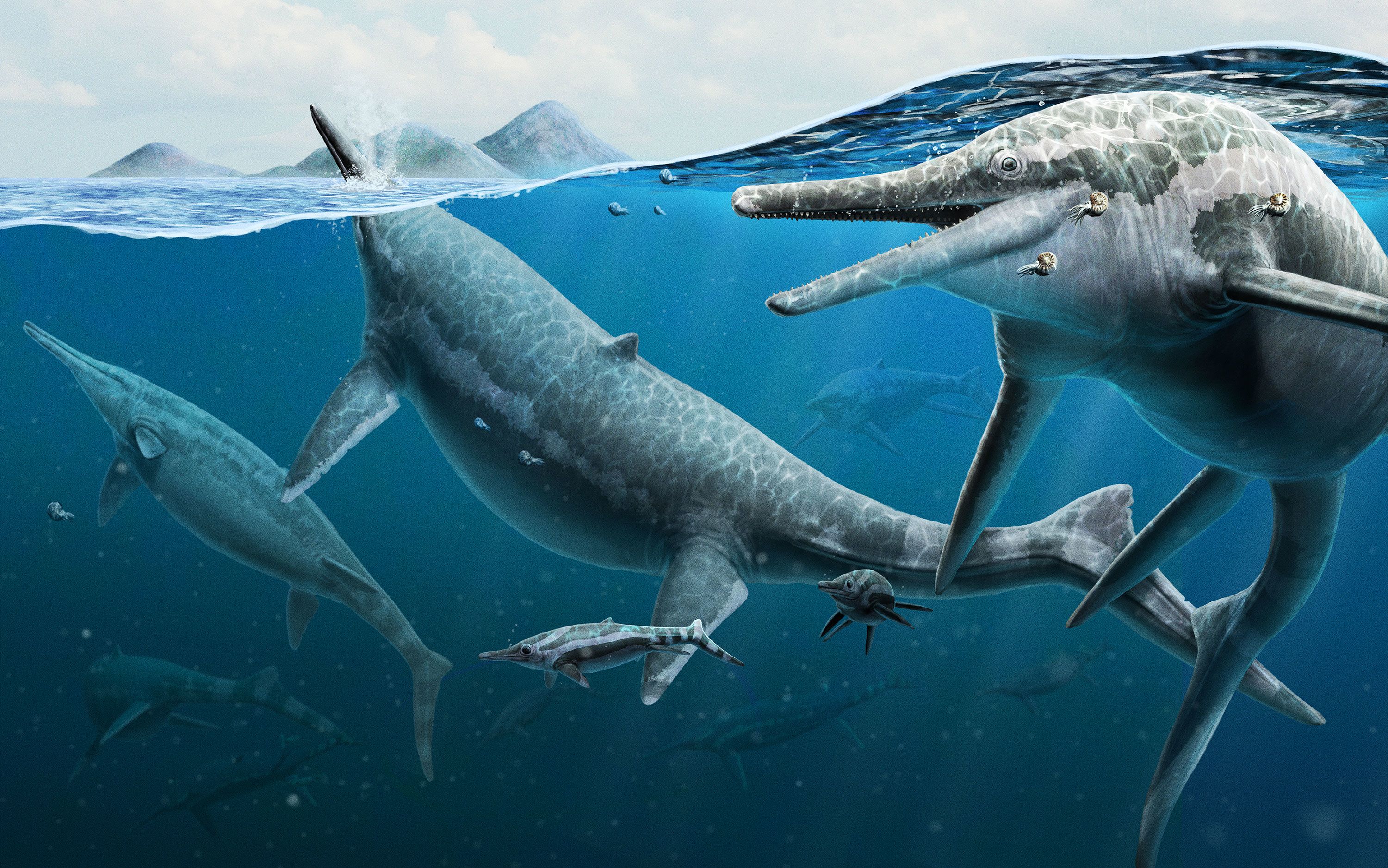 Fossil site was birthing ground for giant marine reptiles, study reveals |  CNN