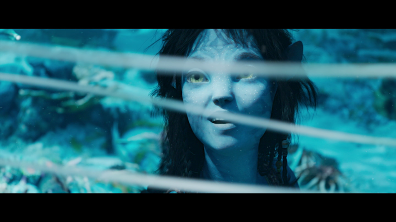 Hollywood Minute: ‘Avatar’ sequel’s big debut | CNN