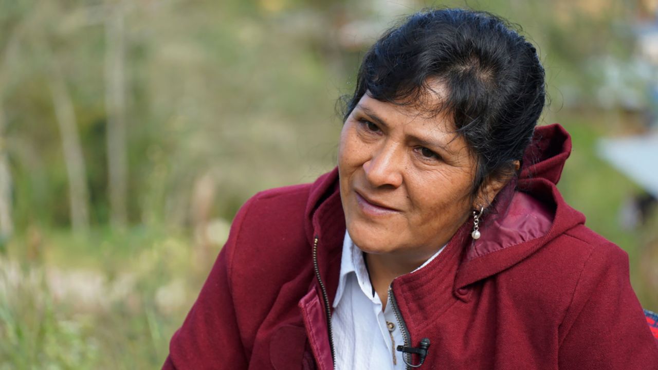 Peru's President Dina Boluarte said Sunday she understood Mexico had given asylum to Castillo's wife, Lilia Paredes (pictured), and their children.