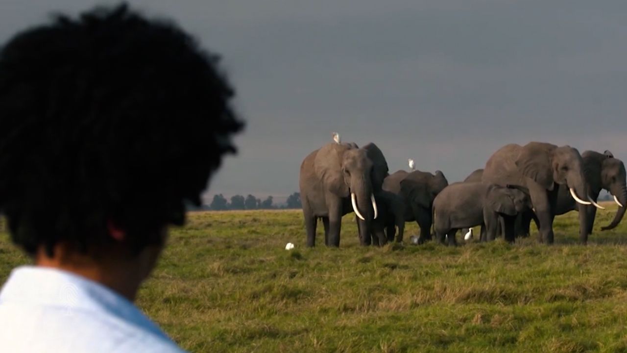 Wildlife films about Africa have traditionally been made by White film crews. This needs to change, says Paula Kahumbu. 