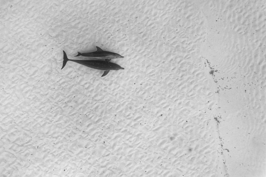 Dolphins are also frequent visitors to the Lamu Archipelago -- and along the entire East Africa coastline. This shot was captured in the crystal-clear waters off Mnemba Island, Tanzania where Bertolli says the mother and calf were keeping a safe distance, but "couldn't resist a closer look at the humans floating on the surface (nearby)." 