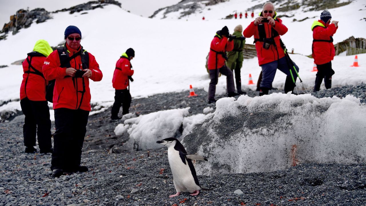Tourists taking pictures of a Barbijo penguin on Half Moon island in Antarctica in 2019.