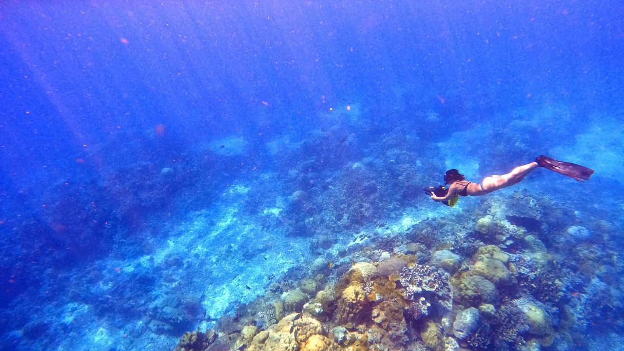 Former Christmas Island resident Sook Yee Lai goes for a dive in Flying Fish Cove.  