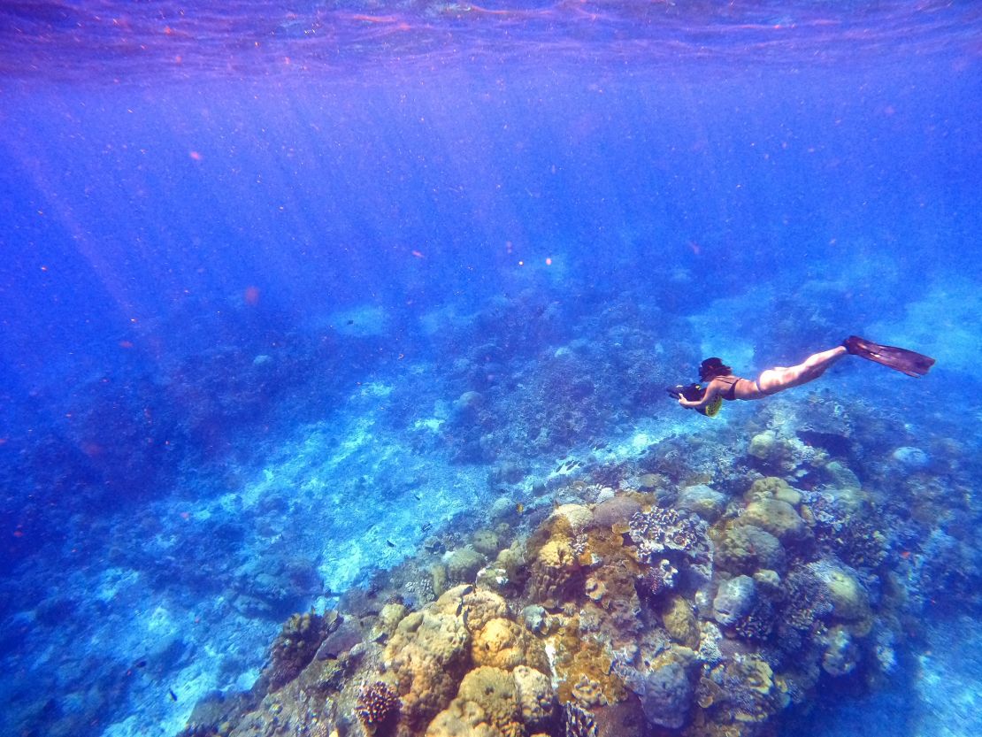 Former Christmas Island resident Sook Yee Lai goes for a dive in Flying Fish Cove.  