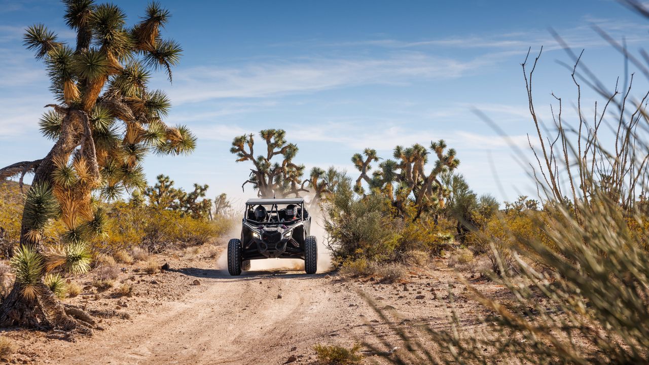 The Arizona desert is an ideal place to train for the Dakar Rally.