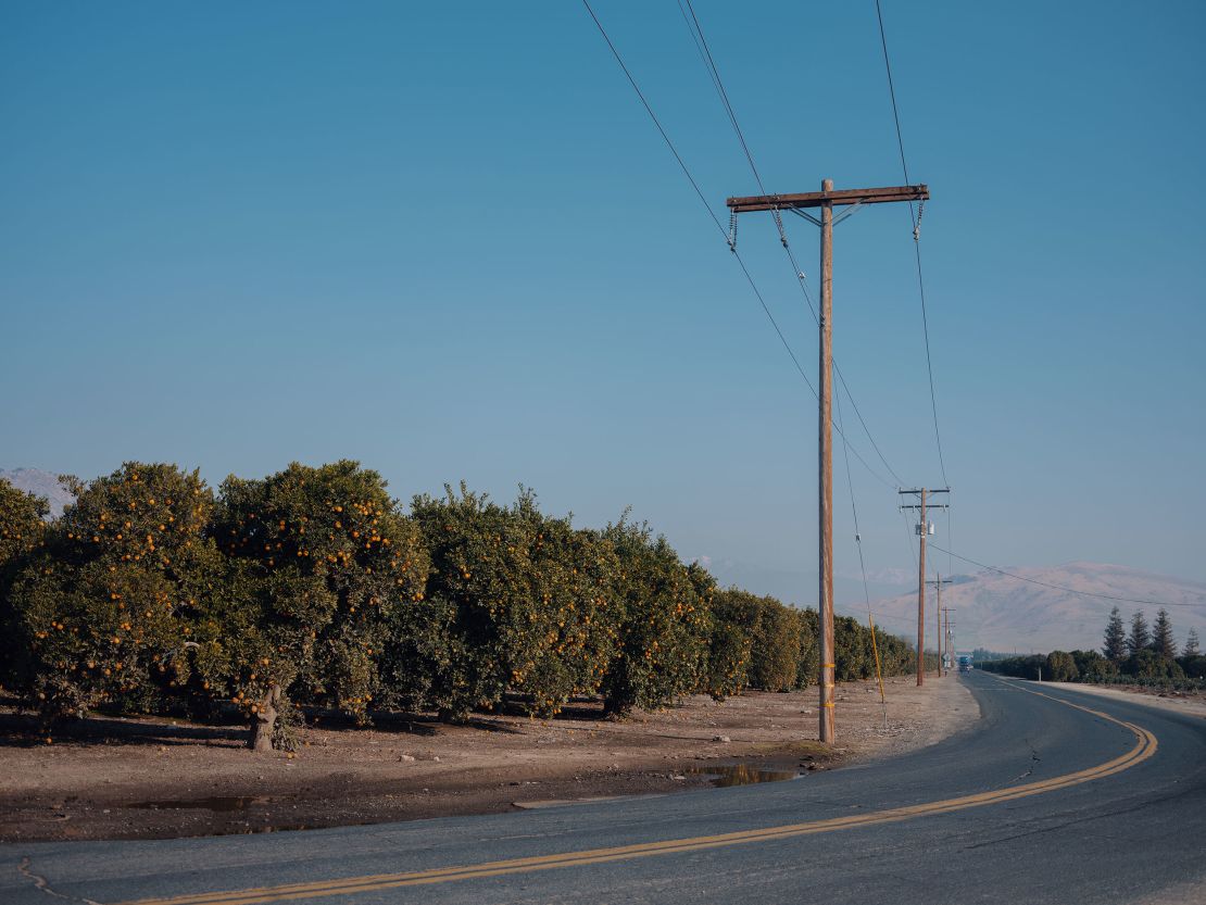 A road winds past an orange grove in Tulare County.