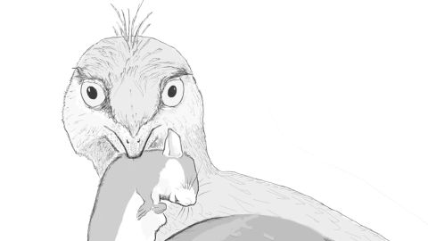 This reconstruction depicts Microraptor eating a small mammal. Courtesy of Hans Larsson. 