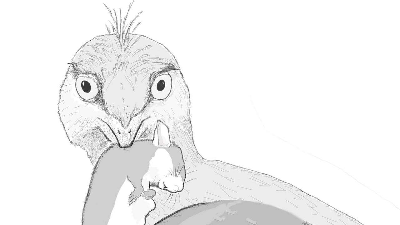 This reconstruction depicts Microraptor eating a small mammal. Courtesy of Hans Larsson.