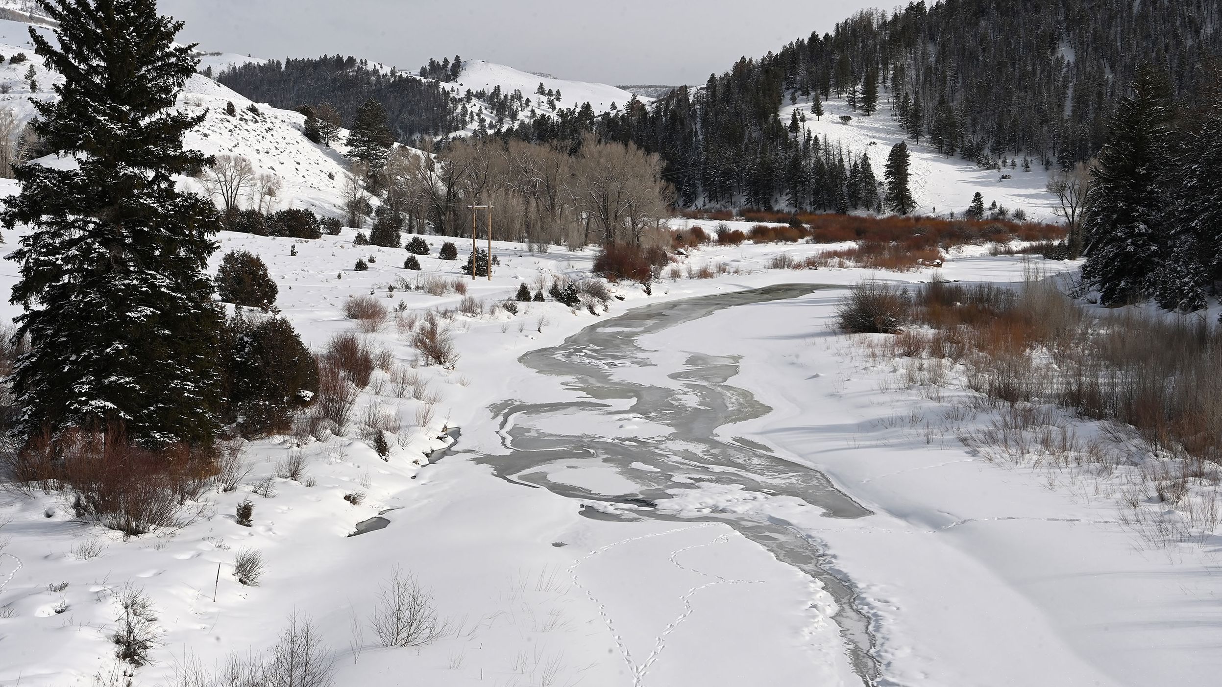 ‘The brink of disaster’: 2023 is a critical year for the Colorado River ...