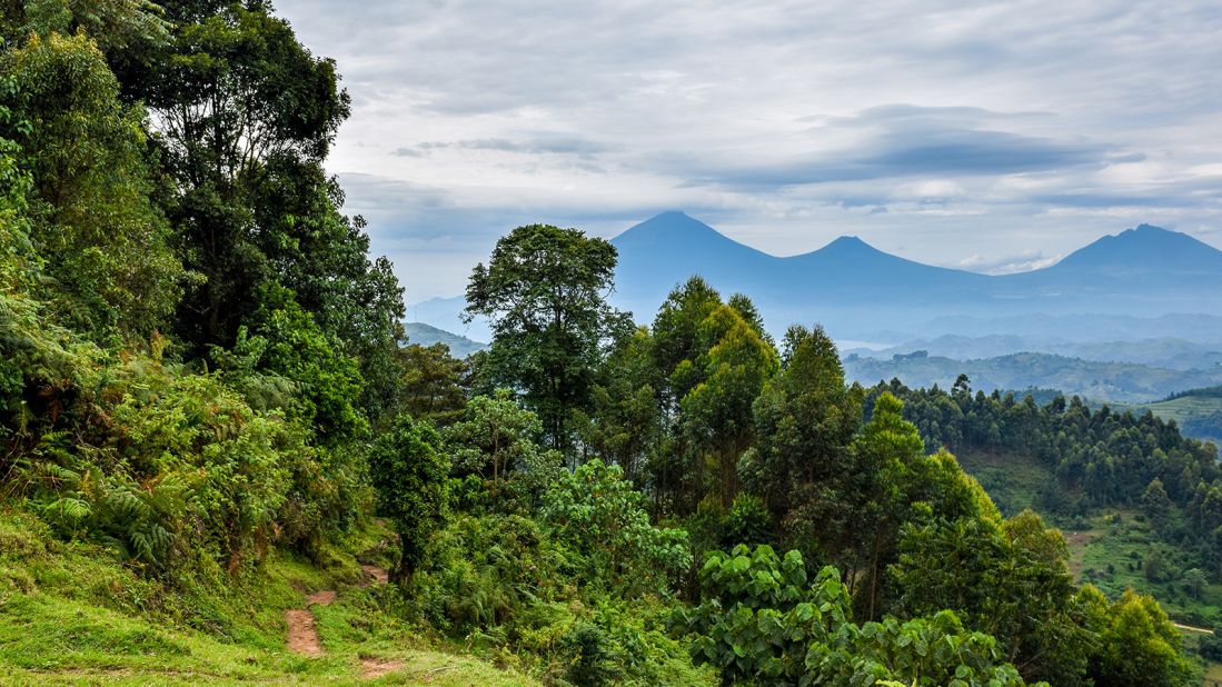 <strong>Uganda: </strong>From atop one of the highest peaks in Bwindi National Park, prospective visitors can see the natural wonders of Uganda.