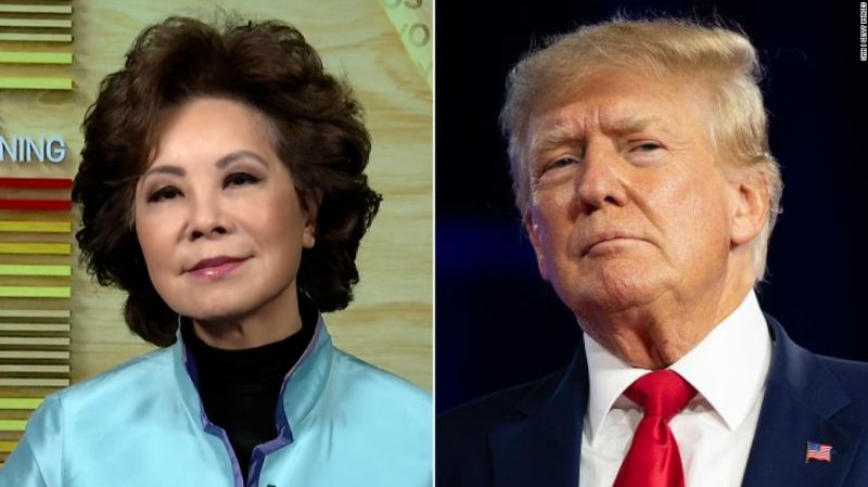 Elaine Chao explains why she refuses to respond to Trump calling her a racist name | CNN Politics