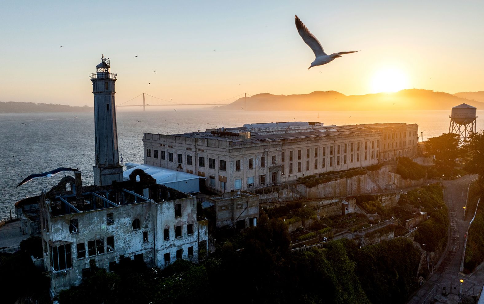 A bird flies above Alcatraz Island in California’s San Francisco Bay on Sunday, May 4. President Donald Trump said <a href="index.php?page=&url=https%3A%2F%2Fwww.cnn.com%2F2025%2F05%2F05%2Fus%2Ftrump-alcatraz-prison-history-hnk">he would order the government to rebuild and reopen the former prison on Alcatraz</a> that once housed some of the most dangerous criminals in the country.