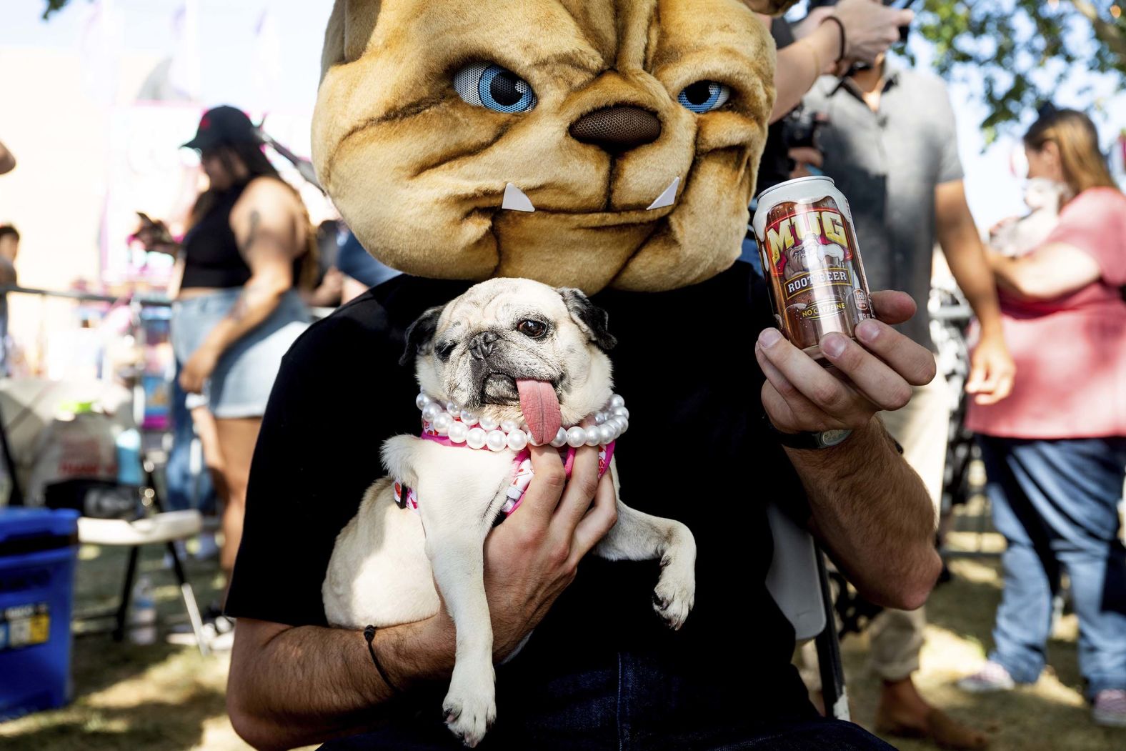 Jinny Lu, a 5-year-old pug, prepares to compete in the World's Ugliest Dog Contest at the Sonoma County Fair in Santa Rosa, California, on Friday, August 8. Jinny went on to win second place and a spirit award.