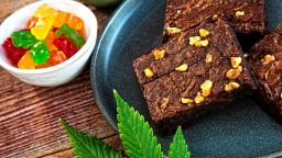 This is a stock photograph involving cannabis in brownies, marijuana and its implications in America has just slowly been legalized and used for medicinal and medical purposes and what that means to our economy and culture.