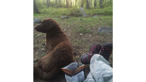She went mountaineering within the woods and met the love of her life She went mountaineering within the woods and met the love of her life