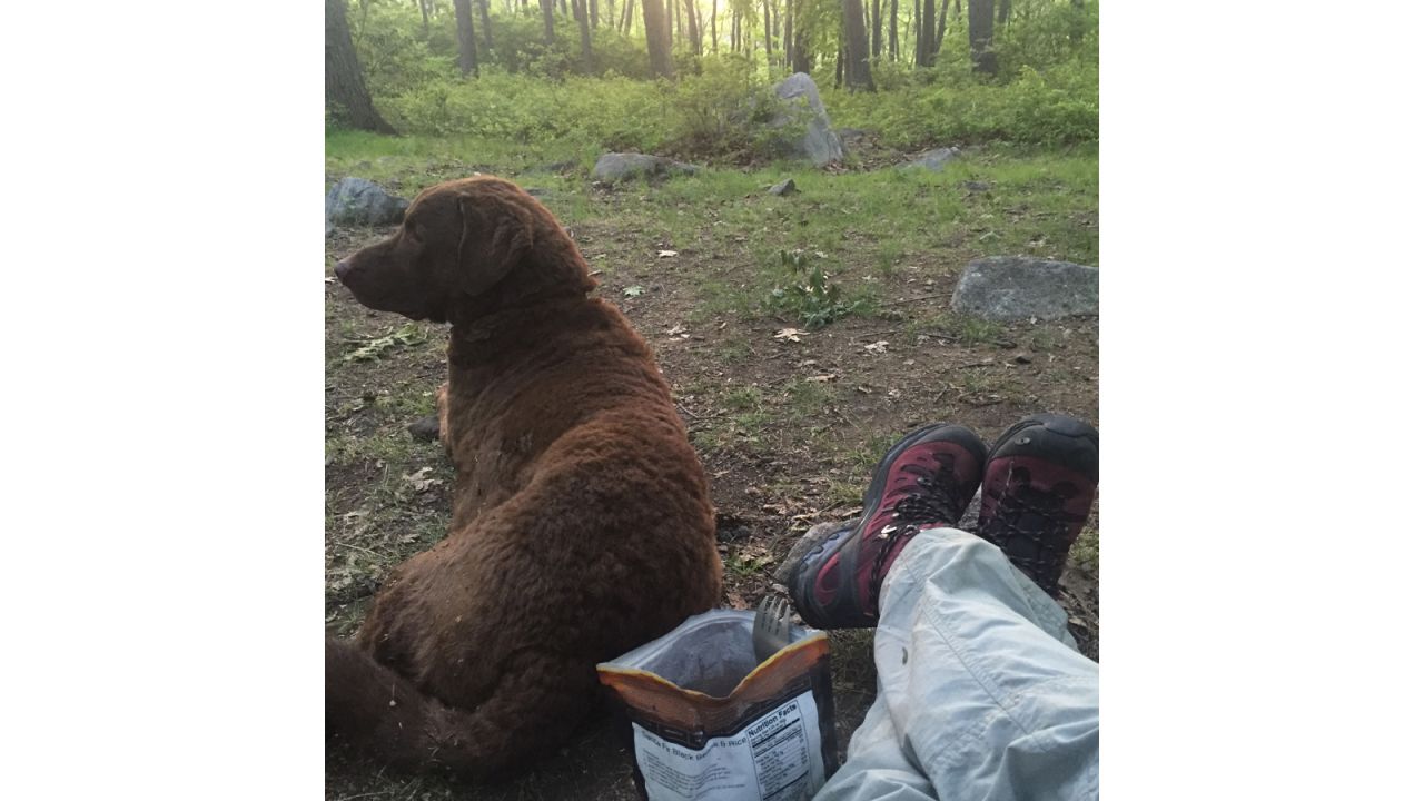 Sarah took this photo of Obie the dog at the campsite, just before she met Travis.