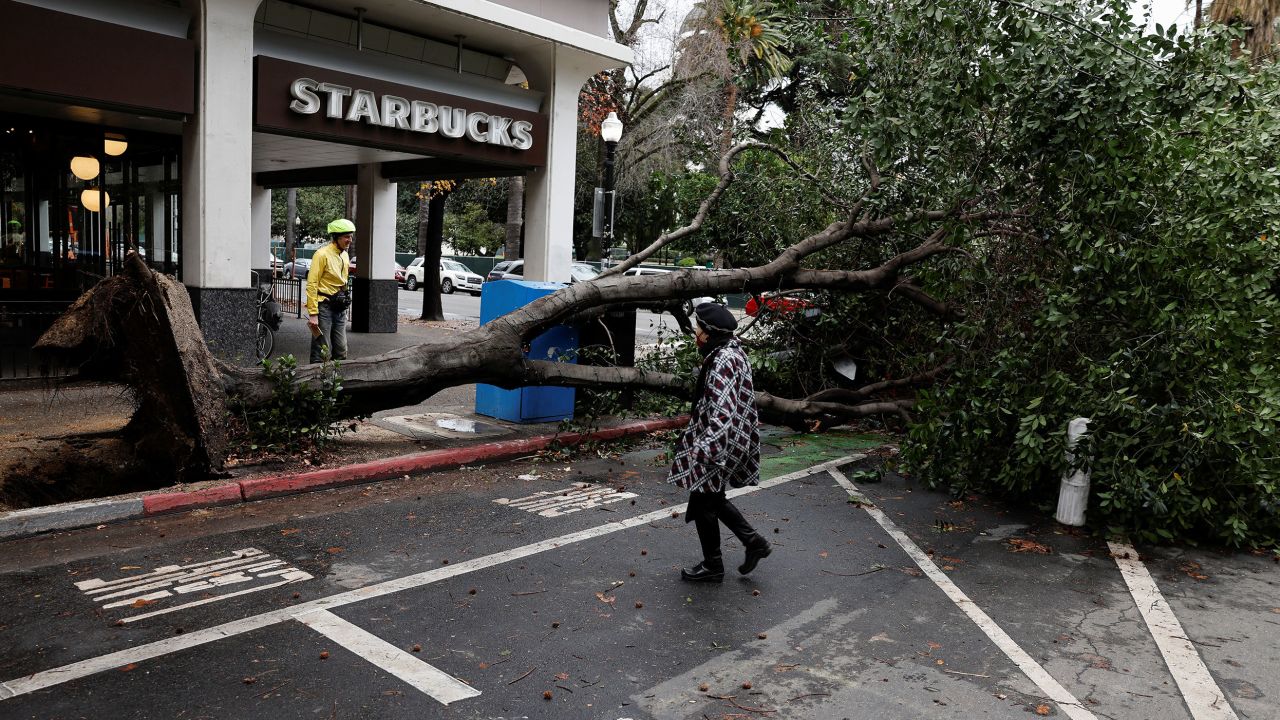 Pedestrians walk around a tree that fell during a storm in downtown Sacramento, California, on January 4, 2023. 