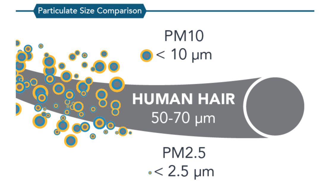 What is PM2.5 particulate matter?
