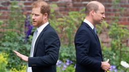 TOPSHOT - Britain's Prince Harry, Duke of Sussex (L) and Britain's Prince William, Duke of Cambridge attend the unveiling of a statue of their mother, Princess Diana at The Sunken Garden in Kensington Palace, London on July 1, 2021, which would have been her 60th birthday. - Princes William and Harry set aside their differences on Thursday to unveil a new statue of their mother, Princess Diana, on what would have been her 60th birthday. (Photo by Dominic Lipinski / POOL / AFP) (Photo by DOMINIC LIPINSKI/POOL/AFP via Getty Images)