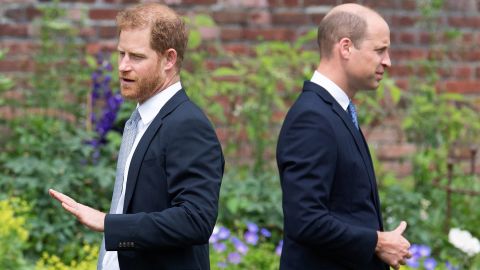 Princes William and Harry at the unveiling of a statue of their mother, Princess Diana, in July 2021