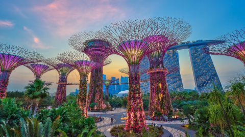 Singapore is a top destination for Chinese travelers, according to Trip.com Group data. 