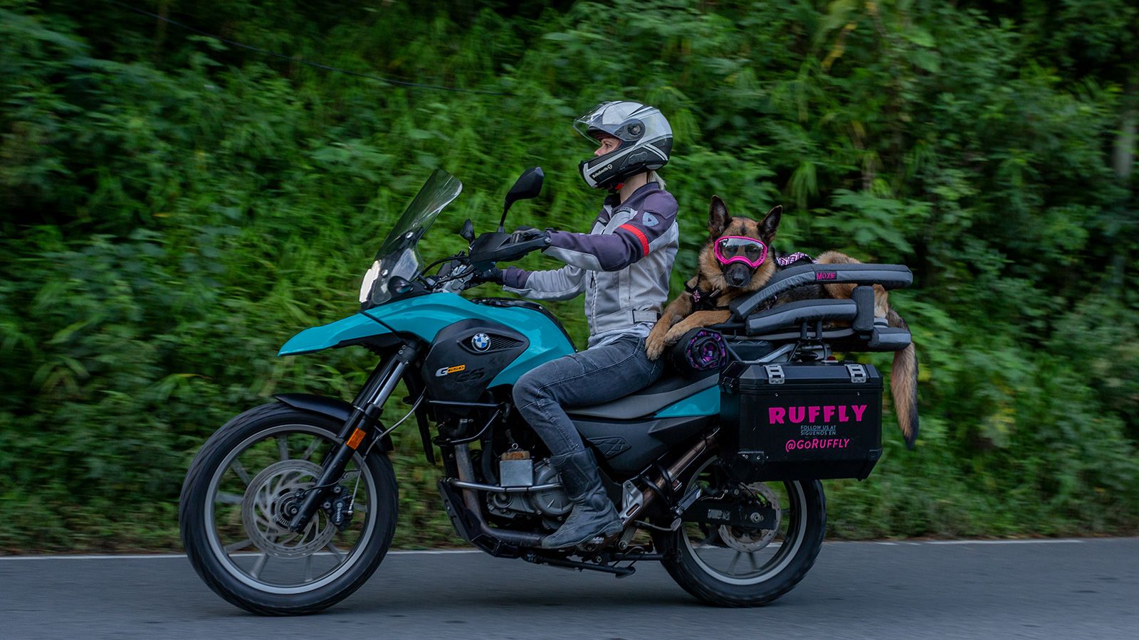 Kiwi Biker Dog - Donneinsella