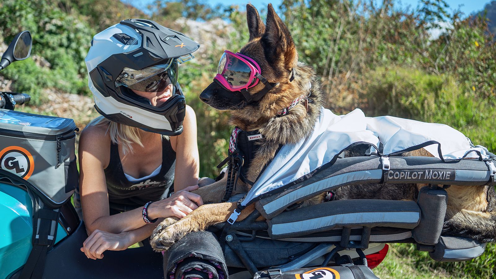 AhPek Biker - Old Dog Rides Again: Cycling New Zealand 2014 Day 8