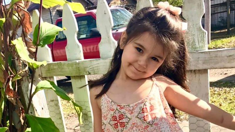 A 7-year-old girl died after dog attack in Louisiana, dog owner faces charges | CNN